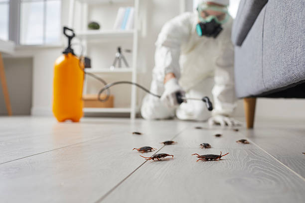 Trusted Fumigation Services service in Falmouth, KY - Nex Pest Control